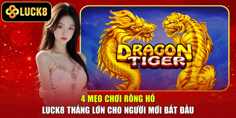 4 Mẹo Chơi Rồng Hổ LUCK8 Thắng Lớn Cho Người Mới Bắt Đầu