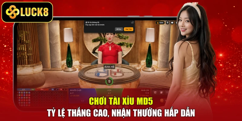 Chơi Tài Xỉu MD5 tỷ lệ thắng cao, nhận thưởng hấp dẫn