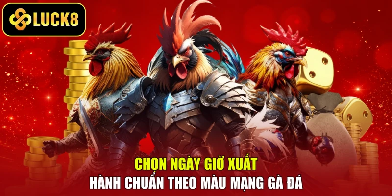 Chọn ngày giờ xuất hành chuẩn theo màu mạng gà đá