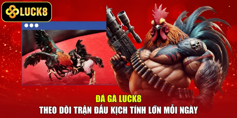 Đá Gà LUCK8 - Theo Dõi Trận Đấu Kịch Tính Lớn Mỗi Ngày