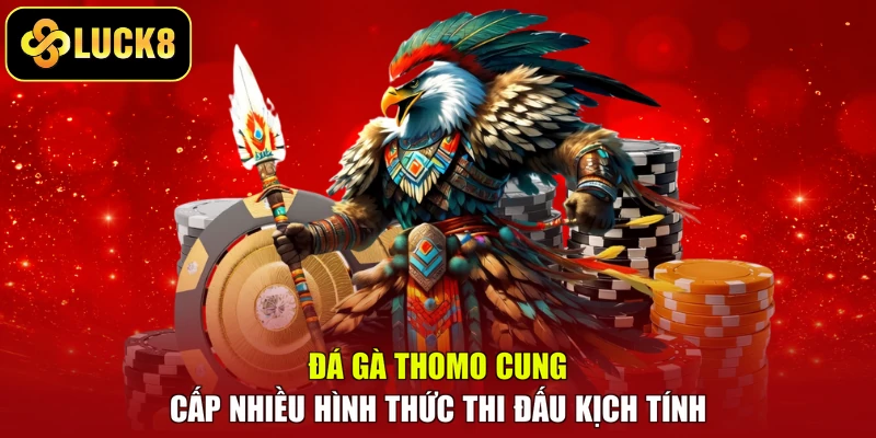 Đá gà Thomo cung cấp nhiều hình thức thi đấu kịch tính