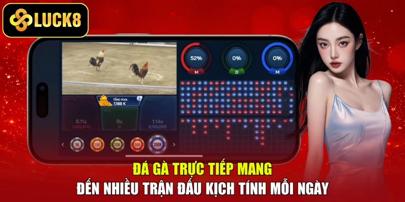 Đá gà trực tiếp mang đến nhiều trận đấu kịch tính mỗi ngày