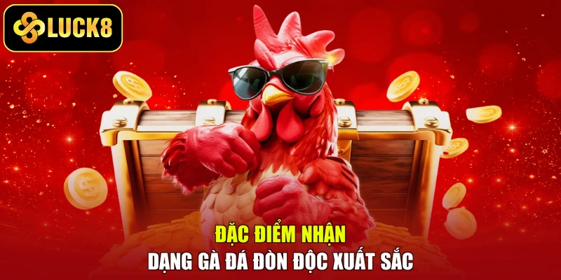 Đặc điểm nhận dạng gà đá đòn độc xuất sắc