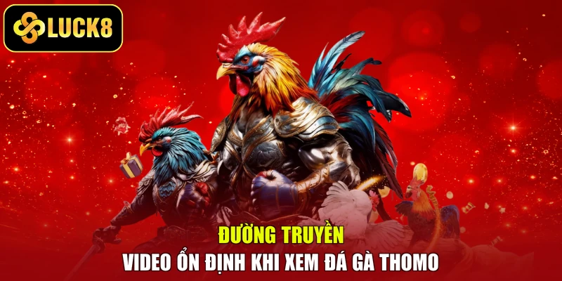 Đường truyền video ổn định khi xem đá gà Thomo