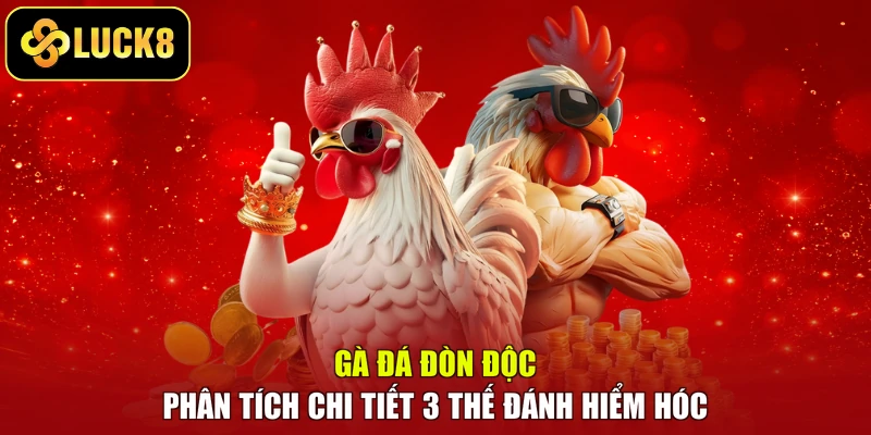 Gà Đá Đòn Độc – Phân Tích Chi Tiết 3 Thế Đánh Hiểm Hóc