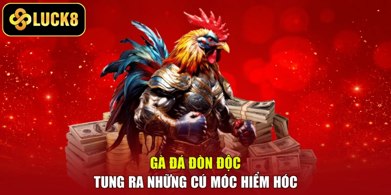Gà đá đòn độc tung ra những cú móc hiểm hóc