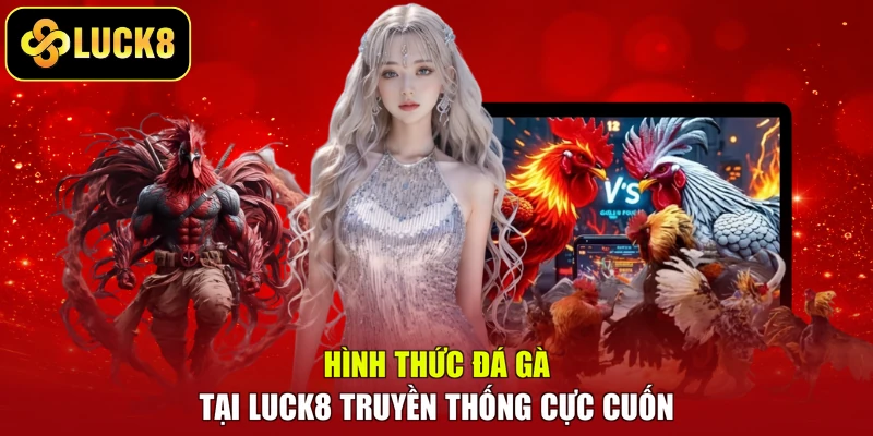 Hình thức đá gà tại LUCK8 truyền thống cực cuốn