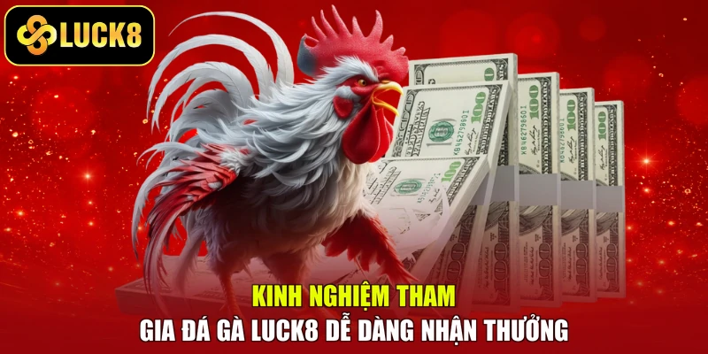 Kinh nghiệm tham gia đá gà LUCK8 dễ dàng nhận thưởng