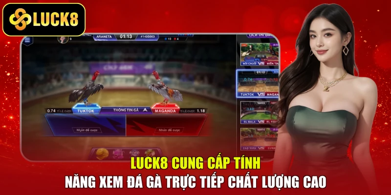 LUCK8 cung cấp tính năng xem đá gà trực tiếp chất lượng cao