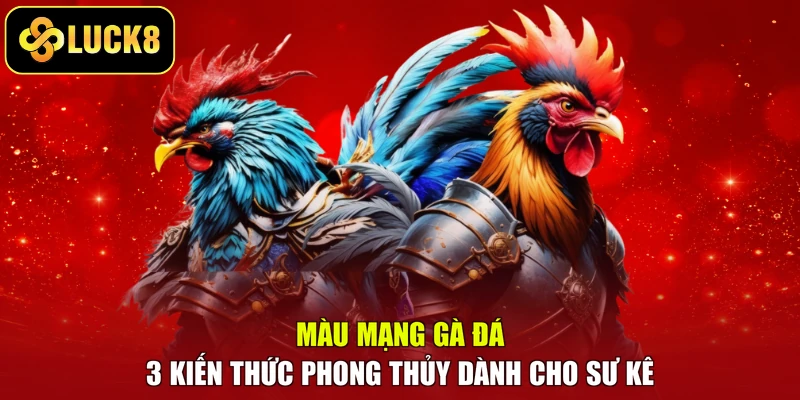 Màu Mạng Gà Đá – 3 Kiến Thức Phong Thủy Dành Cho Sư Kê