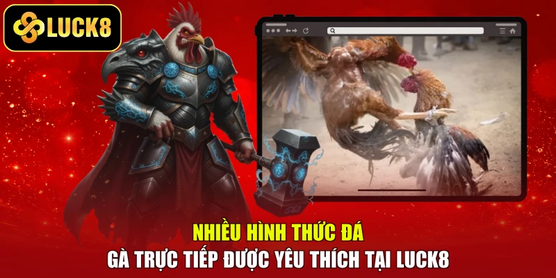 Nhiều hình thức đá gà trực tiếp được yêu thích tại LUCK8