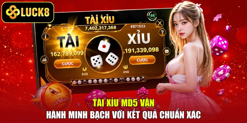 Tài Xỉu MD5 vận hành minh bạch với kết quả chuẩn xác
