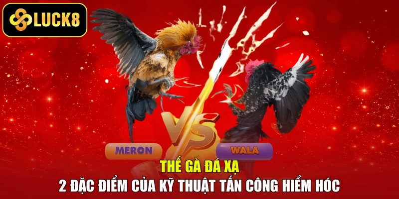 Thế Gà Đá Xạ – 2 Đặc Điểm Của Kỹ Thuật Tấn Công Hiểm Hóc