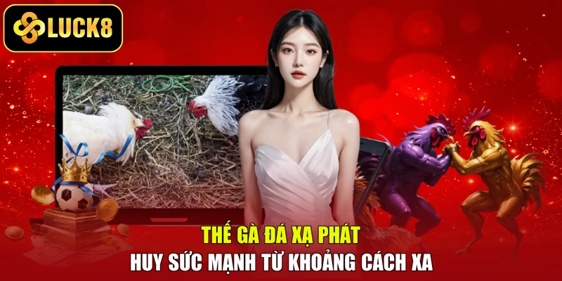 Thế gà đá xạ phát huy sức mạnh từ khoảng cách xa