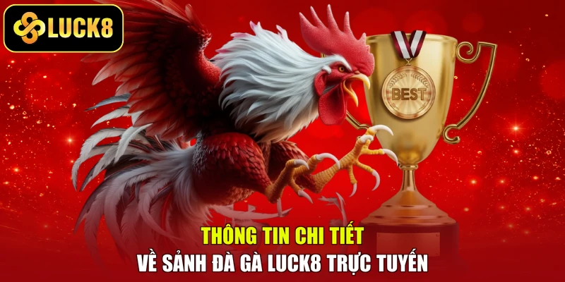 Thông tin chi tiết về sảnh đá gà LUCK8 trực tuyến