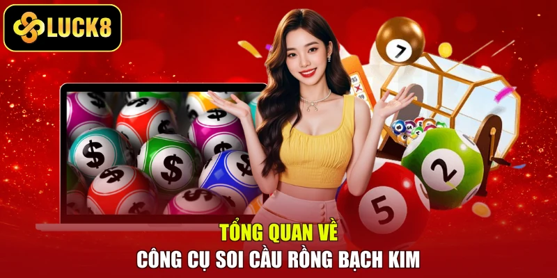 Tổng quan về công cụ soi cầu Rồng Bạch Kim