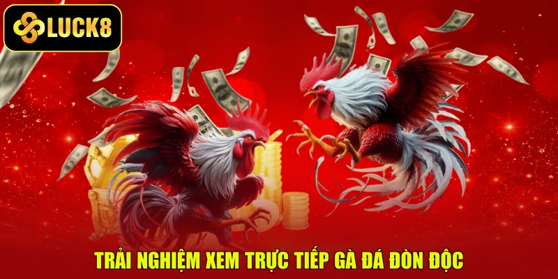 Trải nghiệm xem trực tiếp gà đá đòn độc